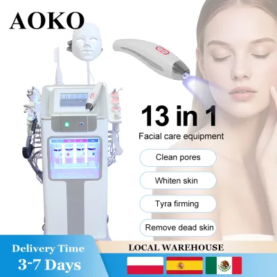 Appareil de soin du visage 13 en 1, électrique